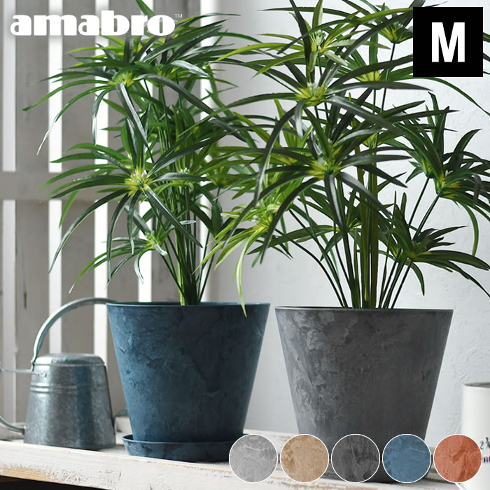 鉢植え 9号」の人気商品一覧 | 安い商品を通販サイトから探す - 価格.com