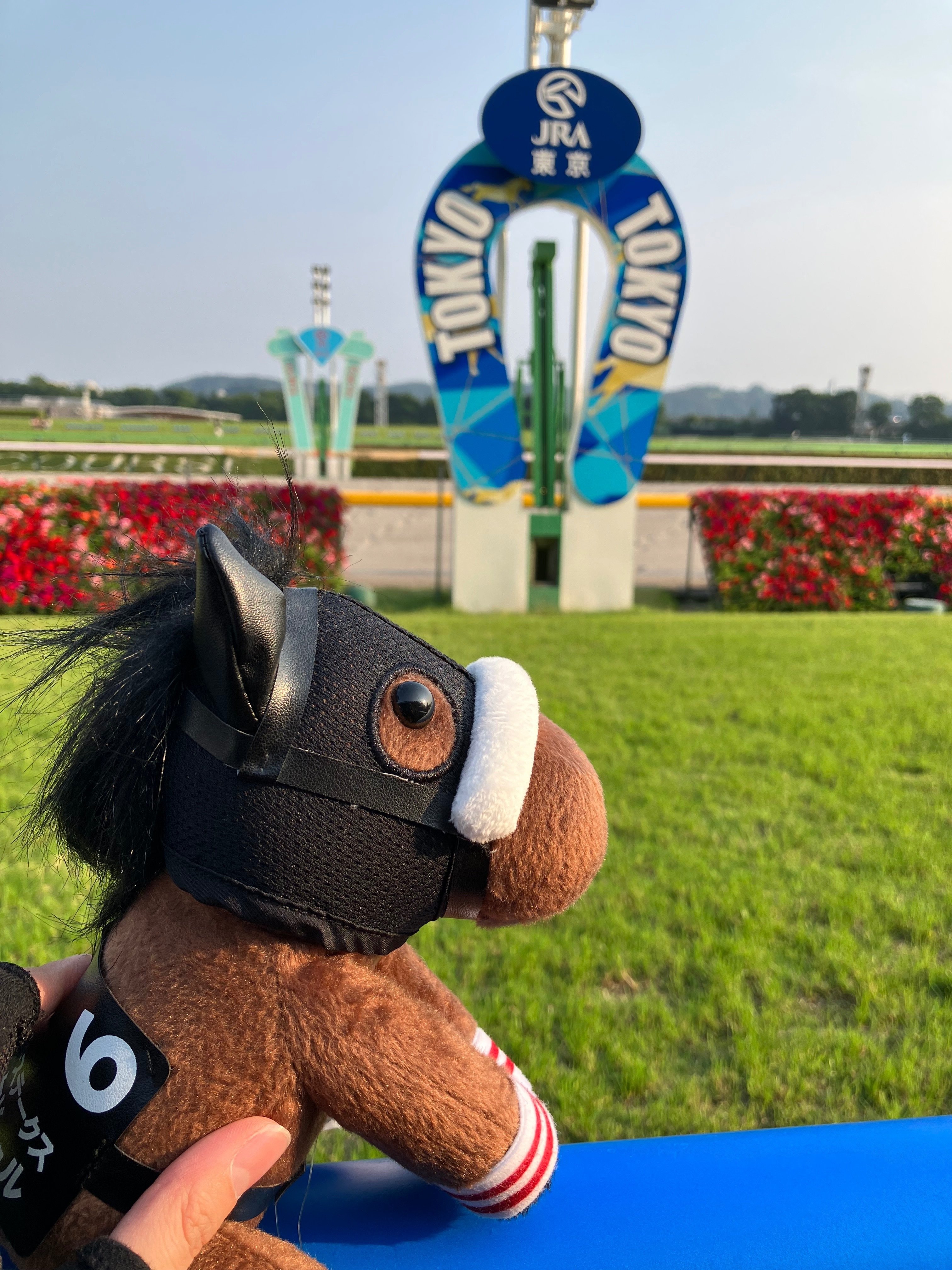 ブケぬいを連れ回す｜はね田