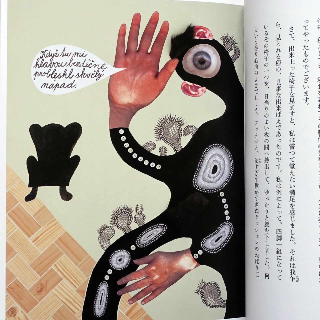 ヤン・シュヴァンクマイエル＝画 江戸川乱歩=著 人間椅子 | タイムカプセル