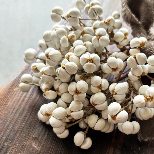 クリスマス/お正月】ナンキンハゼのスワッグ(L)/ラッピング込み