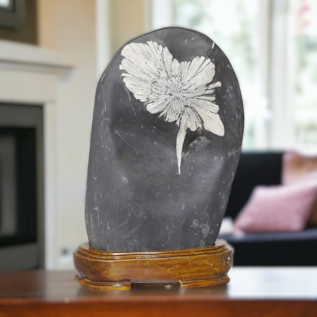 菊花石 No.260 【鑑賞用鉱石】 高さ:約22cm 幅:約14cm 重さ:約2.5kg