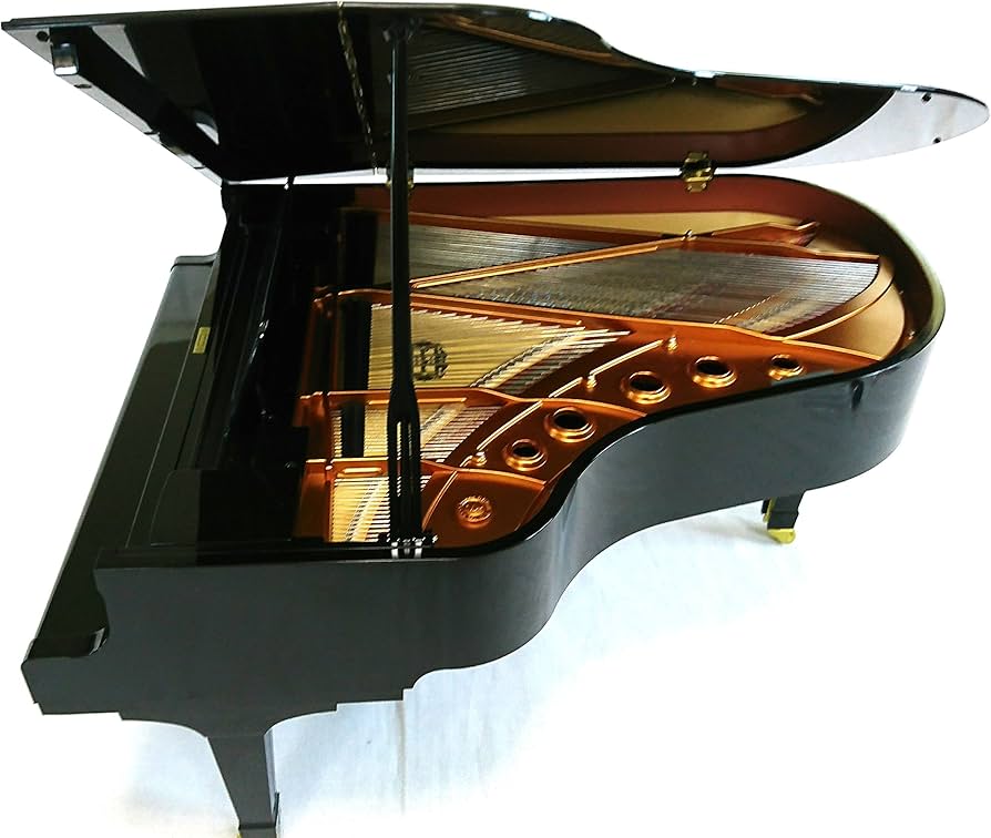 Amazon | グランドピアニスト | おもちゃ雑貨 | おもちゃ