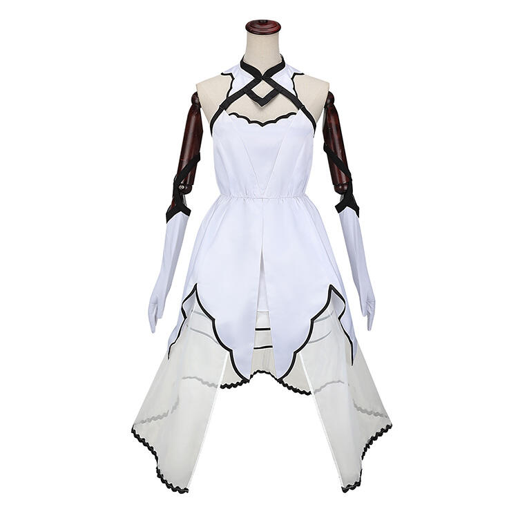Fate/Grand Order アルクェイド・ブリュンスタッド コスプレ衣装