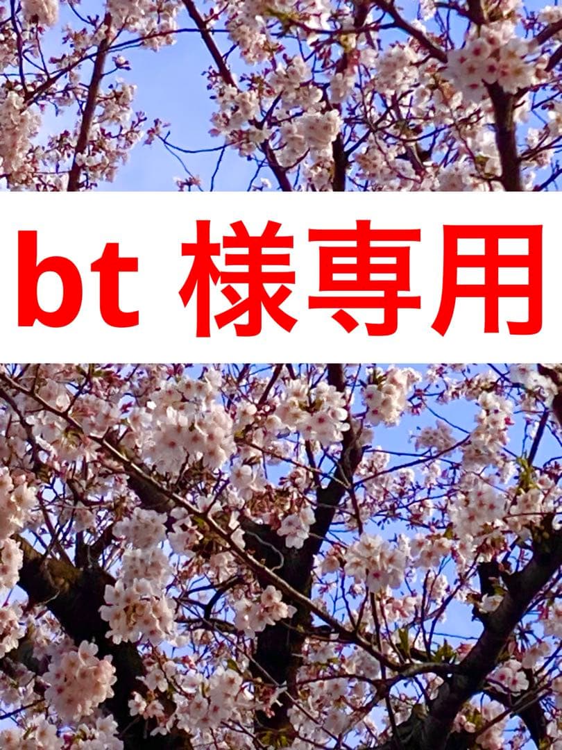 ミュージシャン bt BT15D2 15