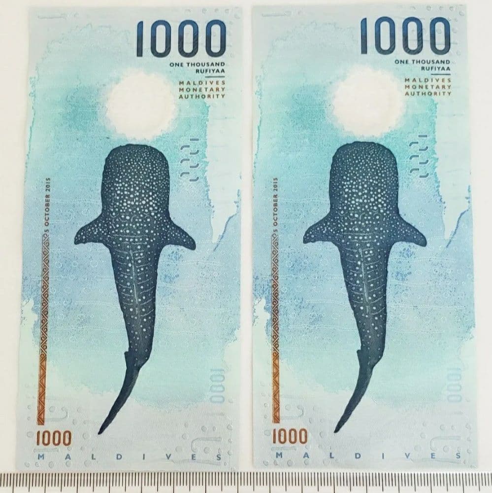 モルディブ 1000Rufiyaa 紙幣 ジンベイザメ ウミガメ 2枚セット ④