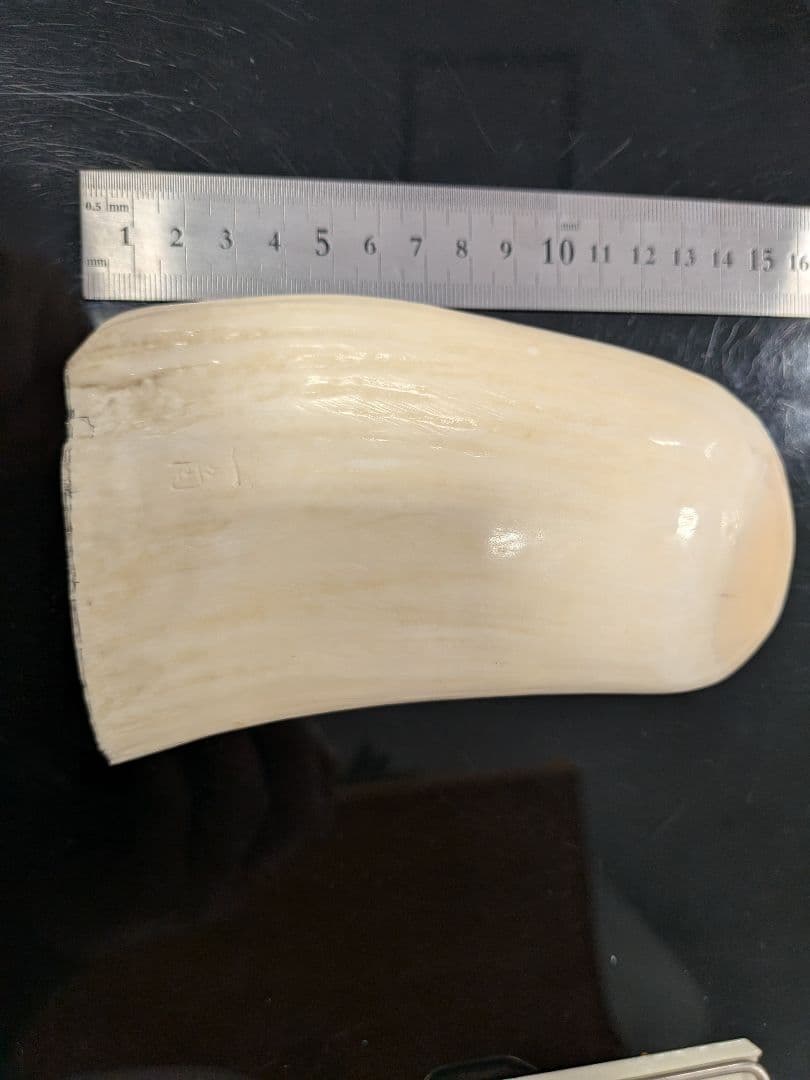 マッコウ鯨歯 本物バラの彫刻 置物 - メルカリ