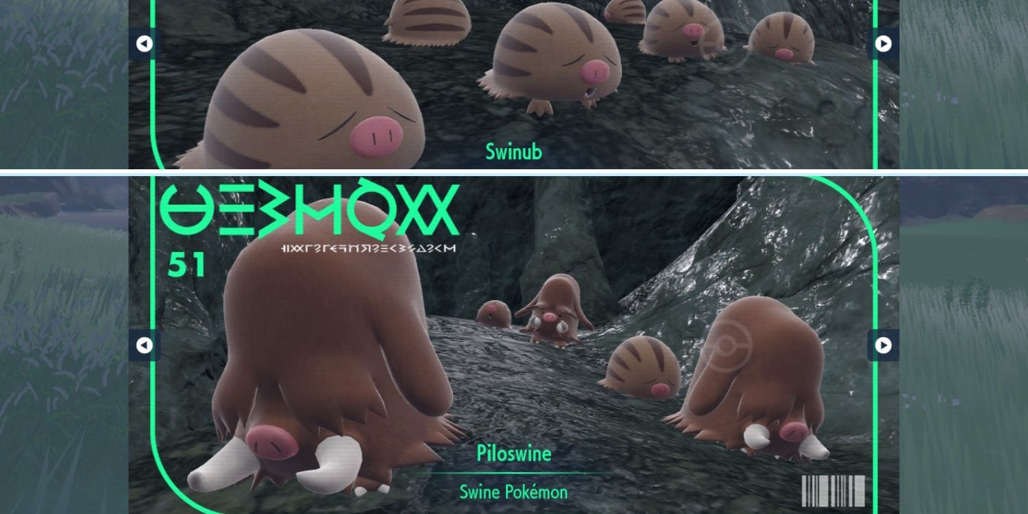 Pokemon Scarlet & Violet DLC: How To Get & Evolve Swinub & Piloswine