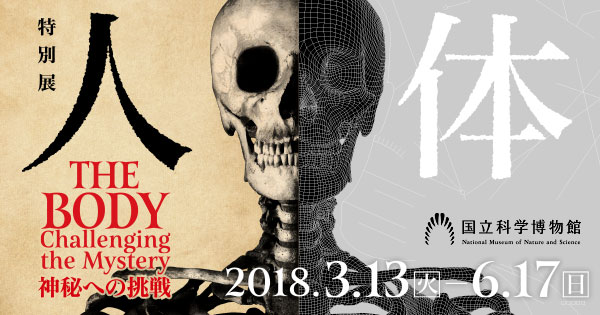 トップページ | 特別展「人体―神秘への挑戦―」（2018年3月13日(火)～6