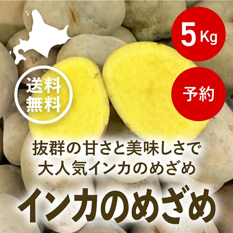 楽天市場】インカのめざめ 種芋（食品）の通販