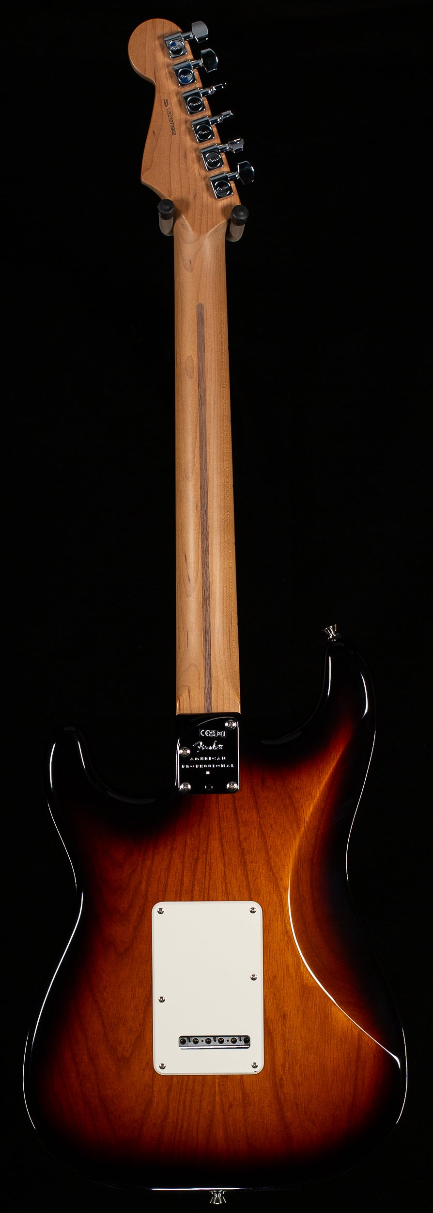 Fender American Professional II Stratocaster Roasted Maple Neck 2