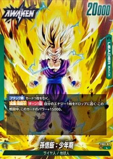 PSA10鑑定済〕孫悟飯：少年期(パラレル)【L☆】{FB01-071}