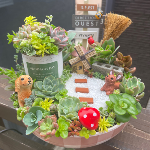 プレゼントにも〜受注制作 円形わんちゃんちゃんガーデン箱庭風多肉