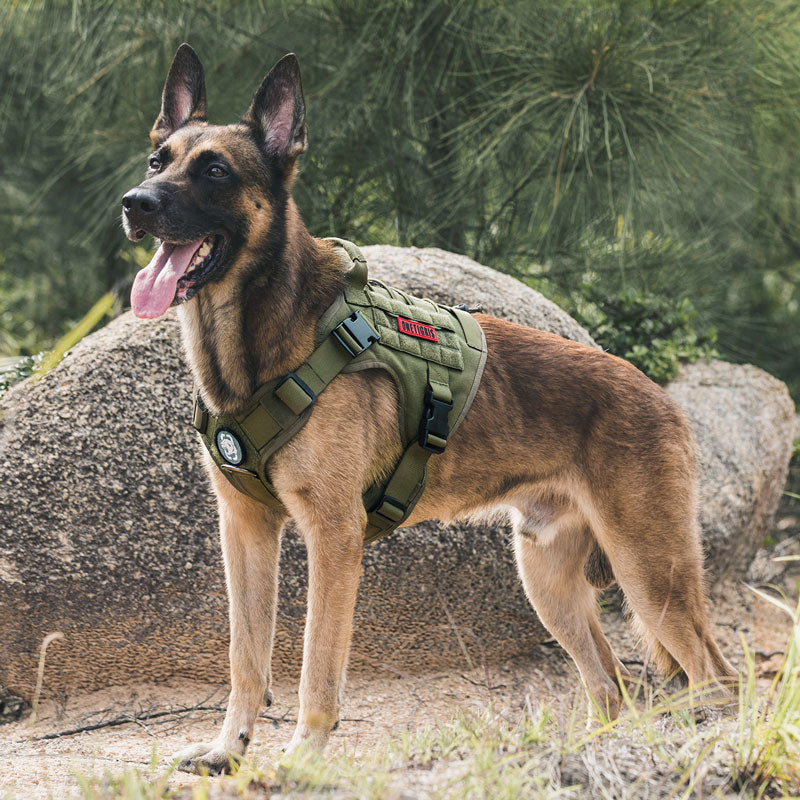 ONETIGRIS FIRE WATCHER K9ハーネス 2.0 – Guppies