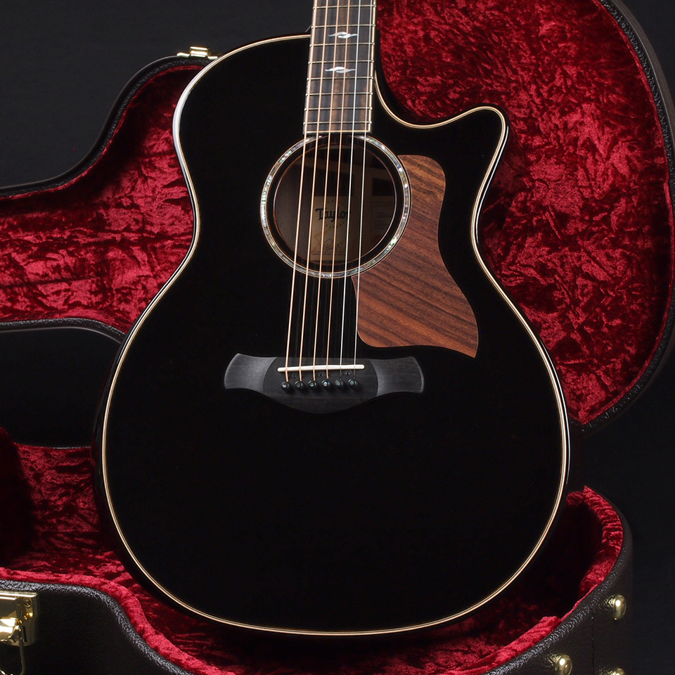 Taylor Builder's Edition 814ce ~Blacktop~（新品/送料無料）【楽器