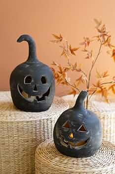 Jack-o'-lantern Abalone DA-11OG