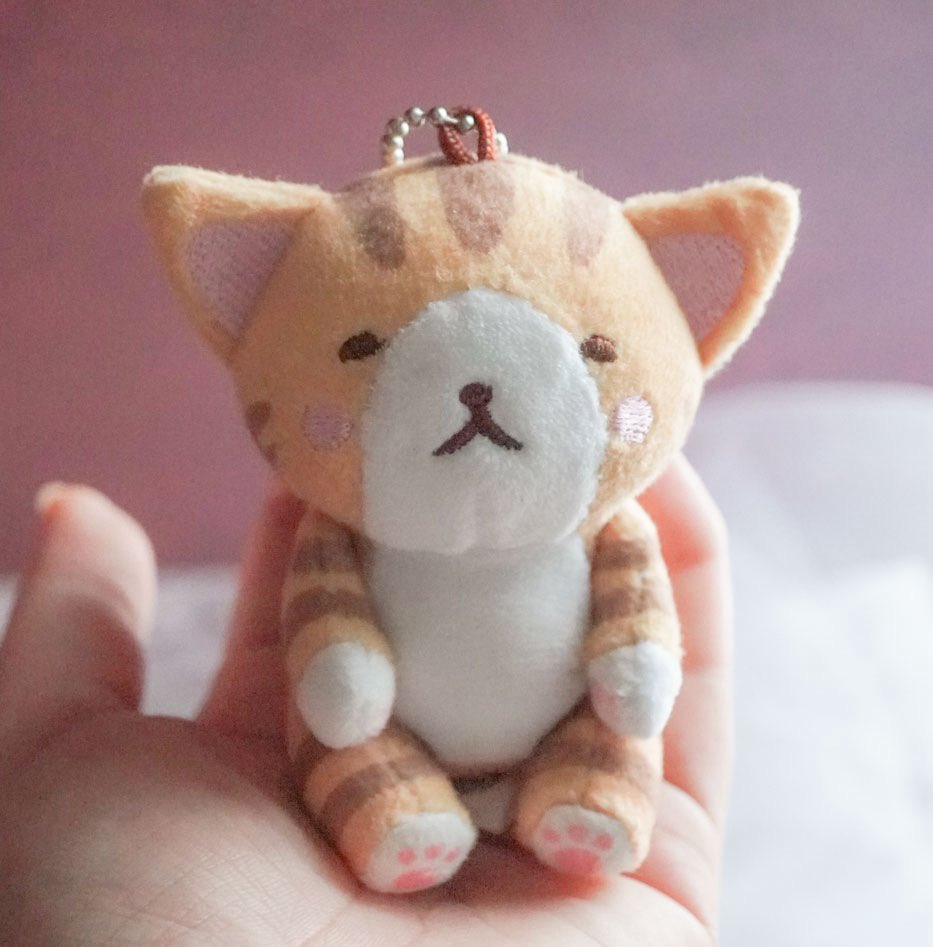 ひねこ🐈 (@MarchenCat) / Posts / X