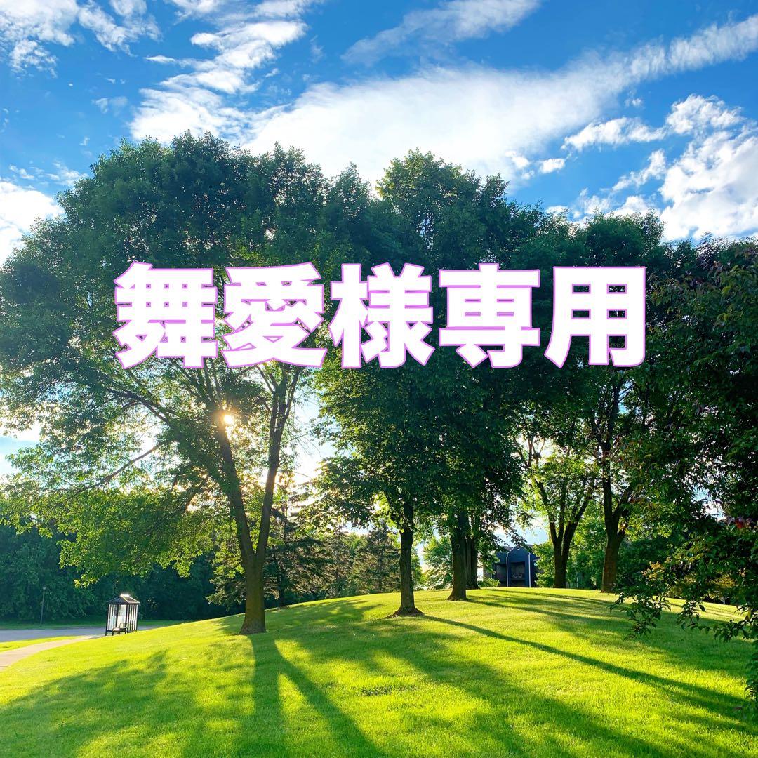 舞愛さま専用ページ 初の単独参拝、初出勤も。愛子さま、成年皇族としての歩み