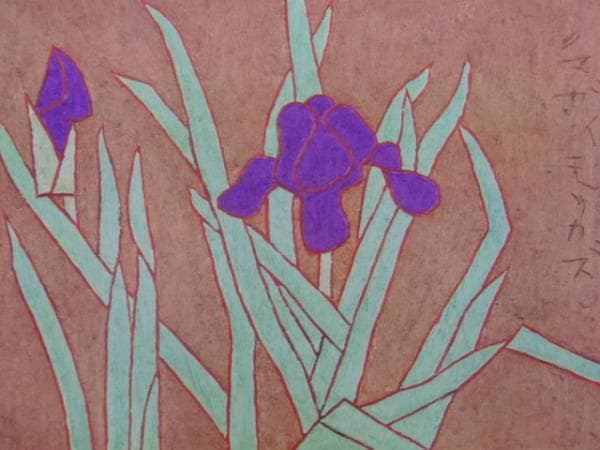 熊谷守一、あやめ、希少限定画集画、新品額付 櫻（花と鳥） | ｜正光画廊
