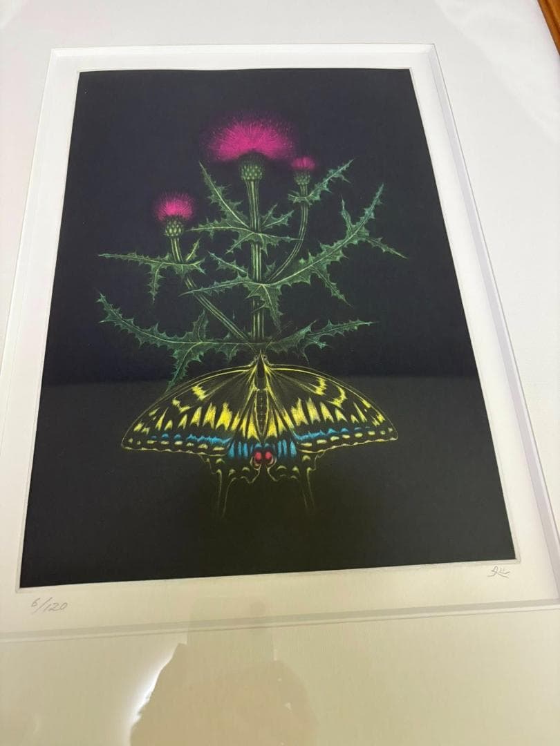 加山又造　薊　銅版画　限定120枚のうちの6番 日本画家・加山又造の展覧会「Re 又造 MATAZO KAYAMA」名作をデジタル